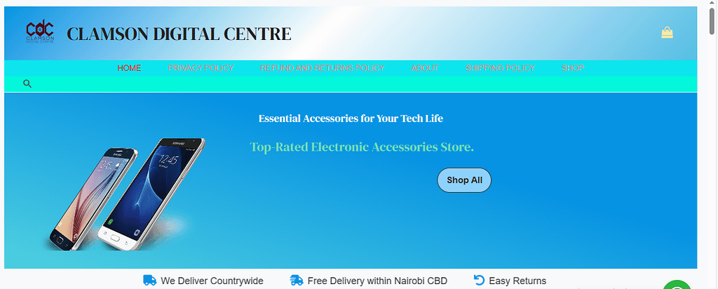 Electronic shop website designed by rocket host